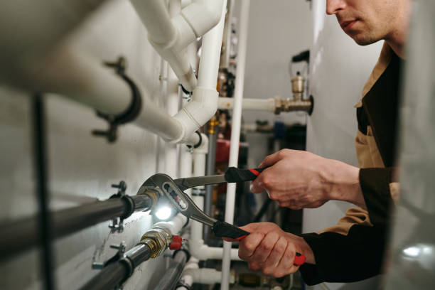 Best Residential Plumbing Services  in Dewitt, IA