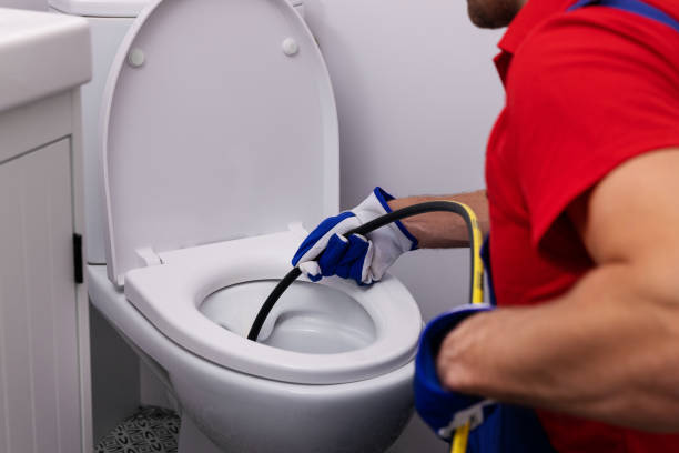 Best Plumbing Services Near Me  in Dewitt, IA